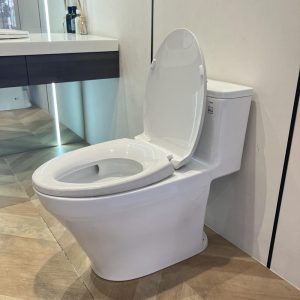 ms857dt2-toto-banletaikho-3