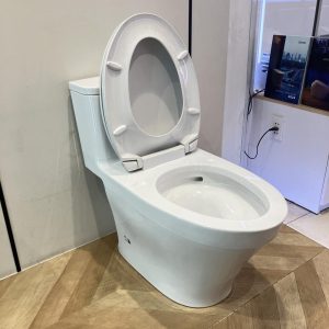 ms857dt2-toto-banletaikho-5