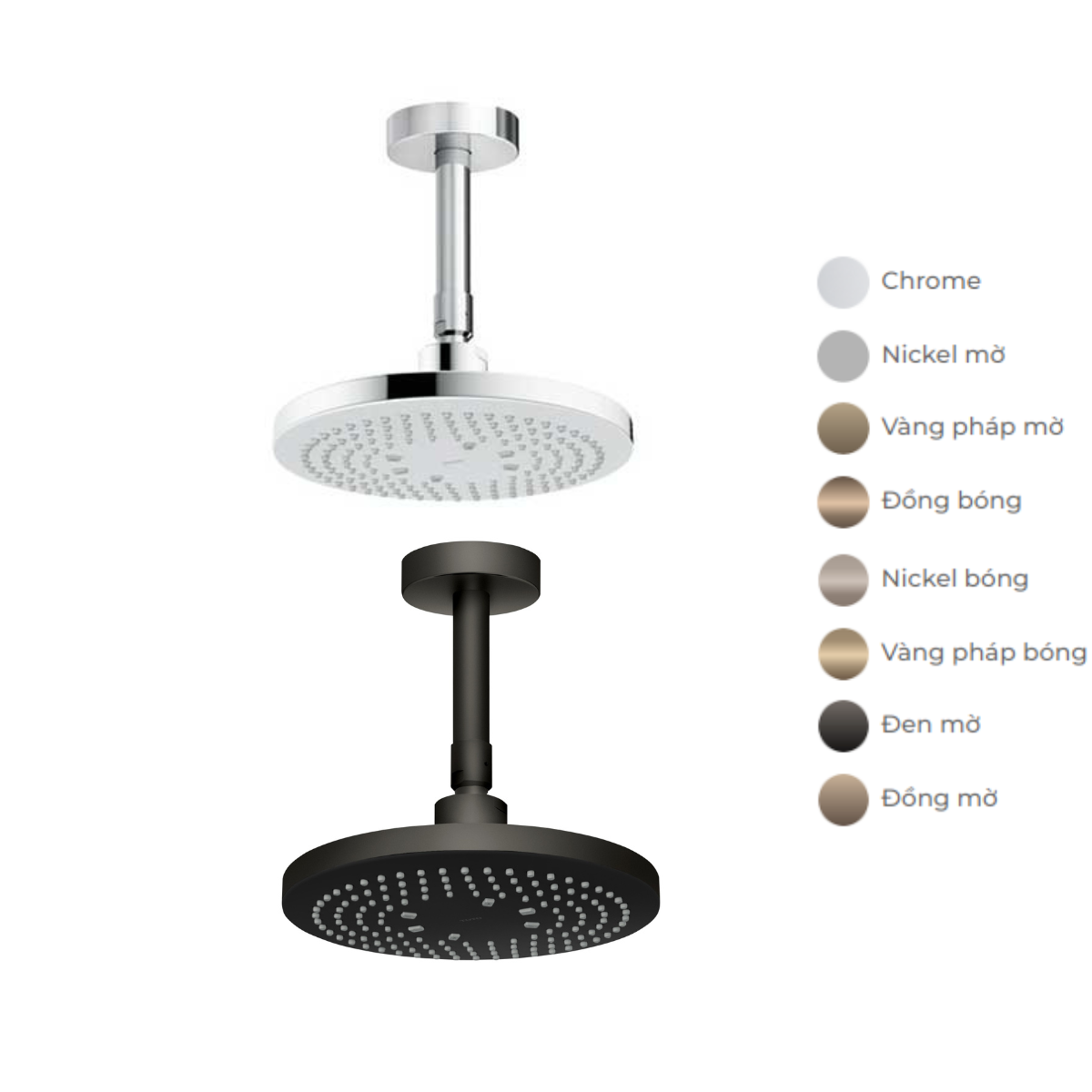 Bát sen tắm gắn trần tròn 220mm TOTO TBW01003B1A (TBW01003B1) 1 Bát sen tắm gắn trần tròn 220mm TOTO TBW01003B1A (TBW01003B1)