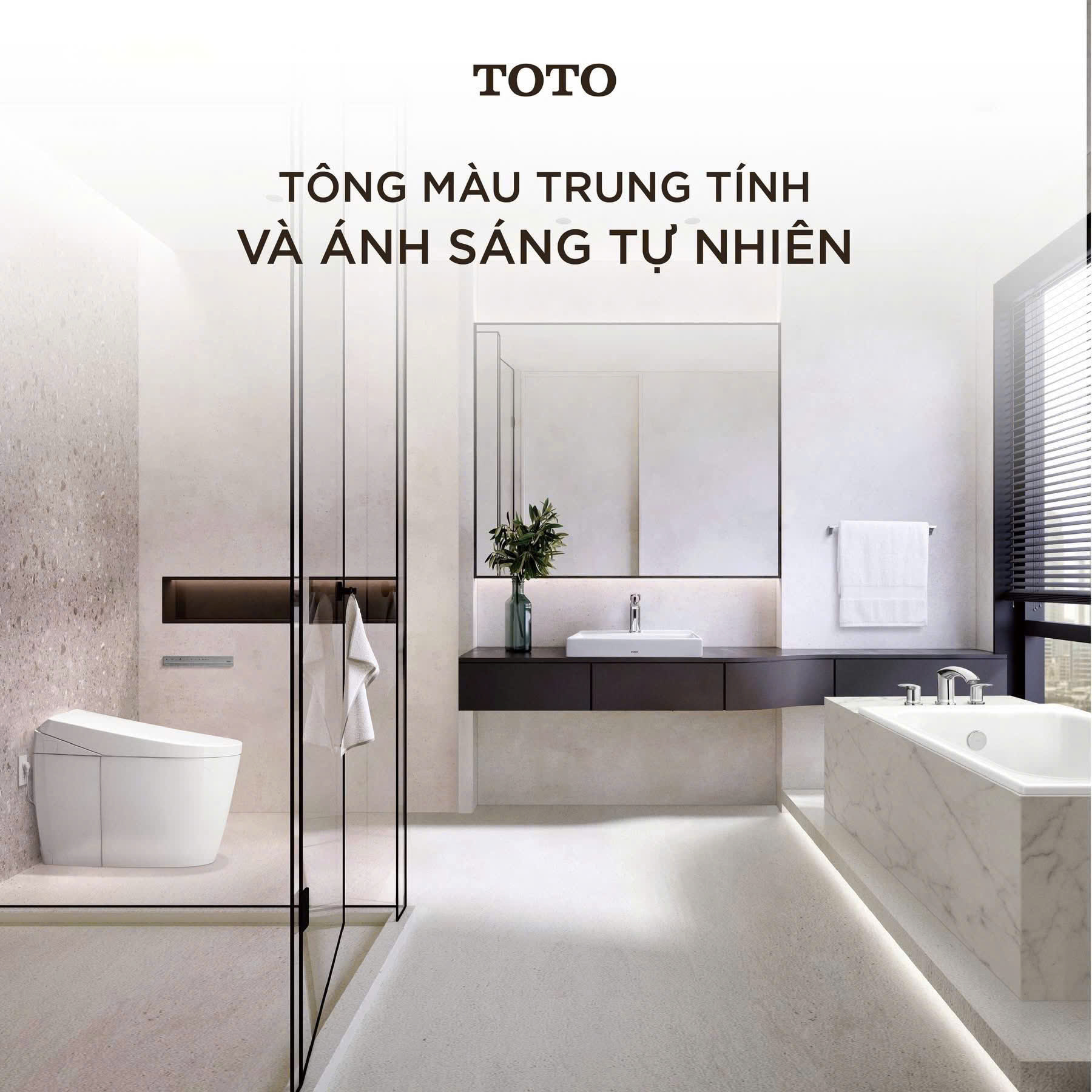 toto banletaikho lienhe 2