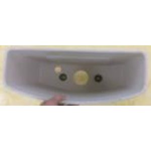 Két nước và nắp đậy TOTO HSW769PV#W (CS769D)