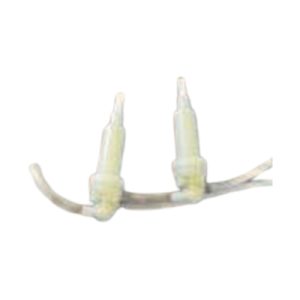 Bộ vòi rửa TOTO M43001Z