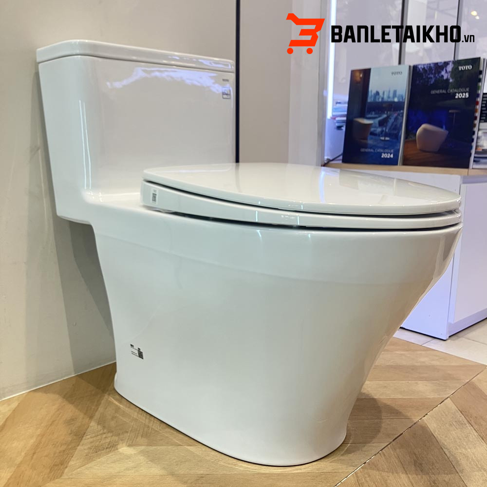 MS857DT10-bon-cau-toto-1-kho-banletaikho