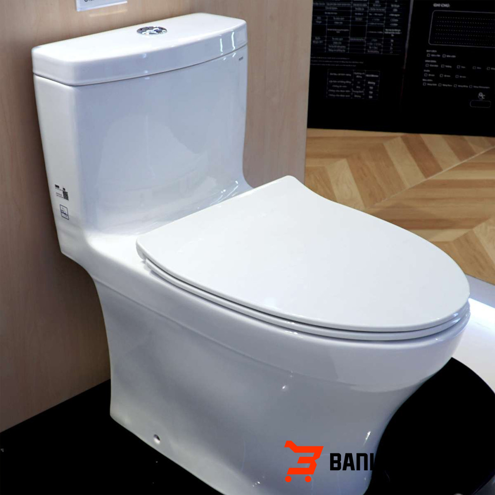 MS889DRT8-bon-cau-toto-1-kho-banletaikho