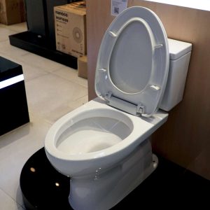 Bồn cầu 2 khối TOTO CS302DT10 nắp đóng êm TC395VS 20 cs302dt10-toto-banletaikho-9