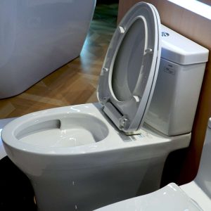 Bồn cầu 2 khối TOTO CS769DRT10 nắp đóng êm TC395VS 18 cs769drt10-toto-banletaikho-8