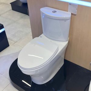 cs838dt10-xw-toto-banletaikho-3