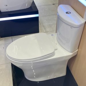 cs838dt10-xw-toto-banletaikho-4