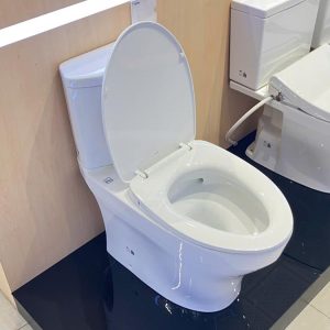 cs838dt10-xw-toto-banletaikho-5