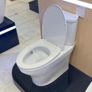 cs838dt10-xw-toto-banletaikho-7