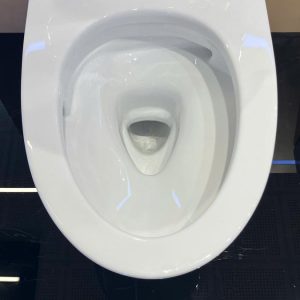 cs838dt10-xw-toto-banletaikho-9