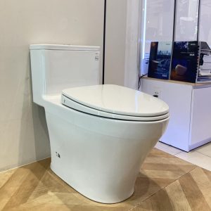 ms857dt10-toto-banletaikho-1