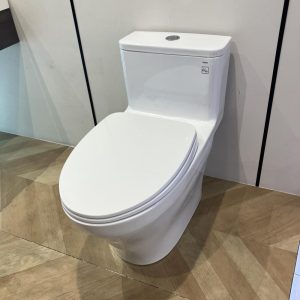 ms857dt10-toto-banletaikho-2