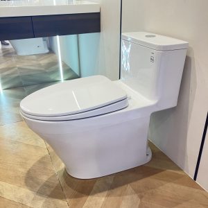 ms857dt10-toto-banletaikho-3