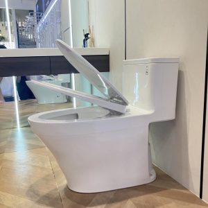 ms857dt10-toto-banletaikho-4