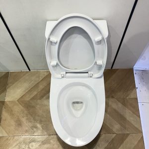 ms857dt10-toto-banletaikho-5