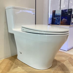 ms857dt10-toto-banletaikho-7