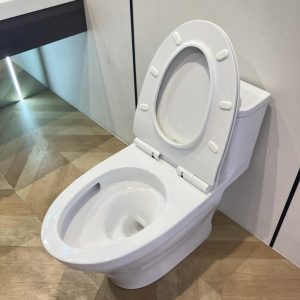 ms857dt8-toto-banletaikho-1