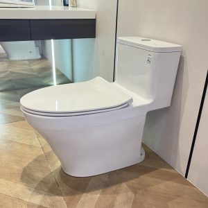 ms857dt8-toto-banletaikho-5