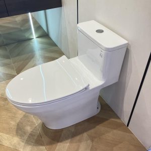 ms857dt8-toto-banletaikho-6