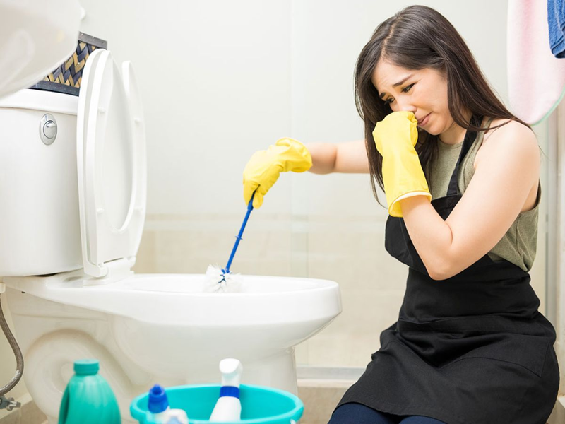 nguyen-nhan-bon-cau-toto-bi-hoi