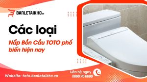 cac-loai-nap-bon-cau-toto-pho-bien