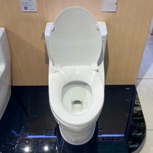 Bồn cầu 1 khối TOTO MS188VKT2 T53P100VR nắp đóng êm TC393VS 19 ms188vkt2-xw-t53p100vr-toto-banletaikho-7