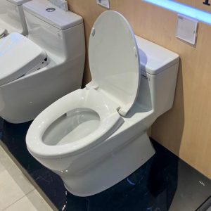 Bồn cầu 1 khối TOTO MS188VKT2 T53P100VR nắp đóng êm TC393VS 20 ms188vkt2-xw-t53p100vr-toto-banletaikho-8