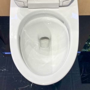 Bồn cầu 1 khối TOTO MS188VKT2 T53P100VR nắp đóng êm TC393VS 21 ms188vkt2-xw-t53p100vr-toto-banletaikho-9
