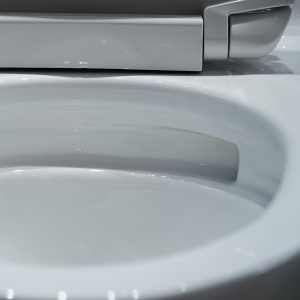 Bồn cầu 1 khối TOTO MS887RT2 nắp đóng êm TC393VS 10 ms887rt2-toto-banletaikho-3