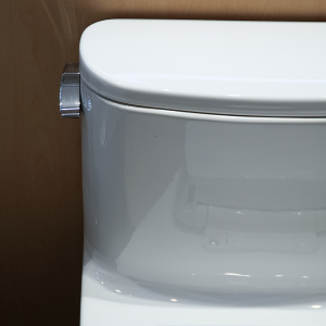 Bồn cầu 1 khối TOTO MS887RT2 nắp đóng êm TC393VS 12 ms887rt2-toto-banletaikho-5